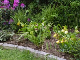 pose bordure jardin sans beton