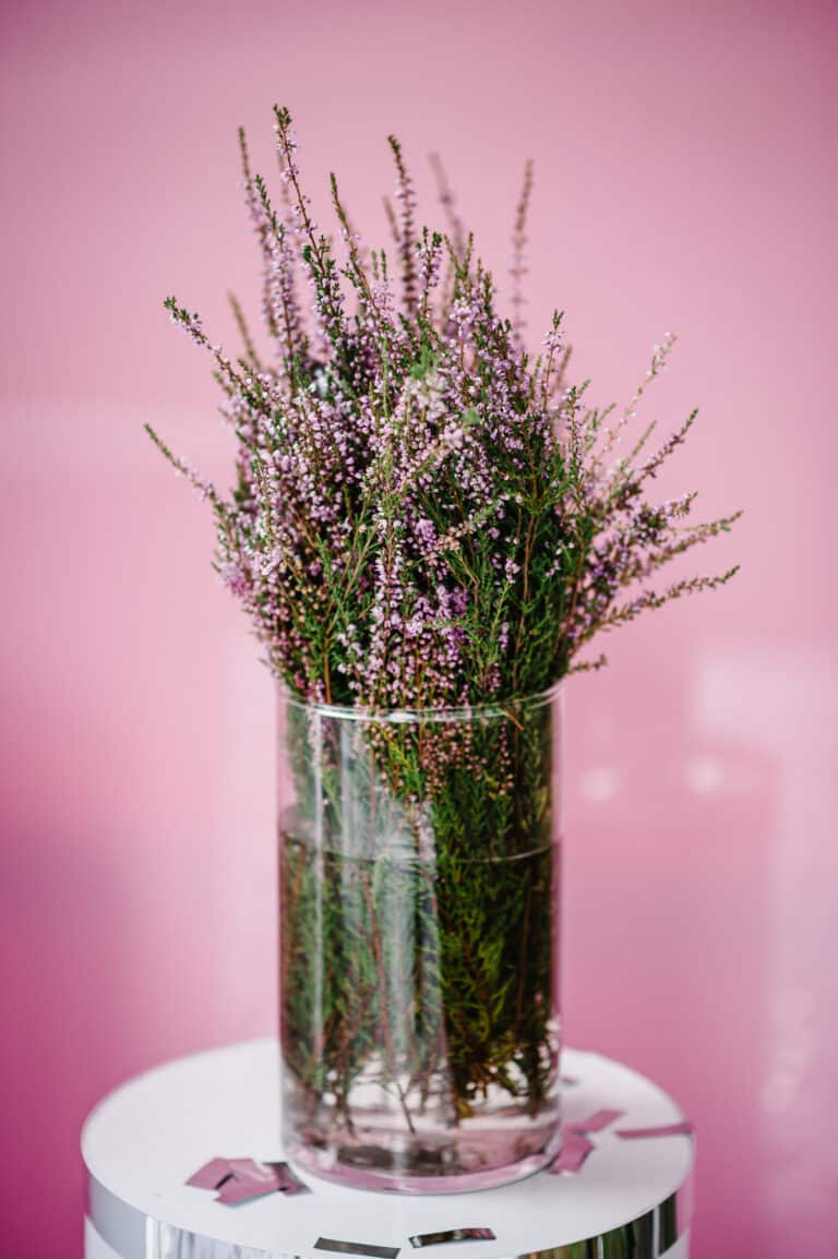 comment conserver lavande en vase